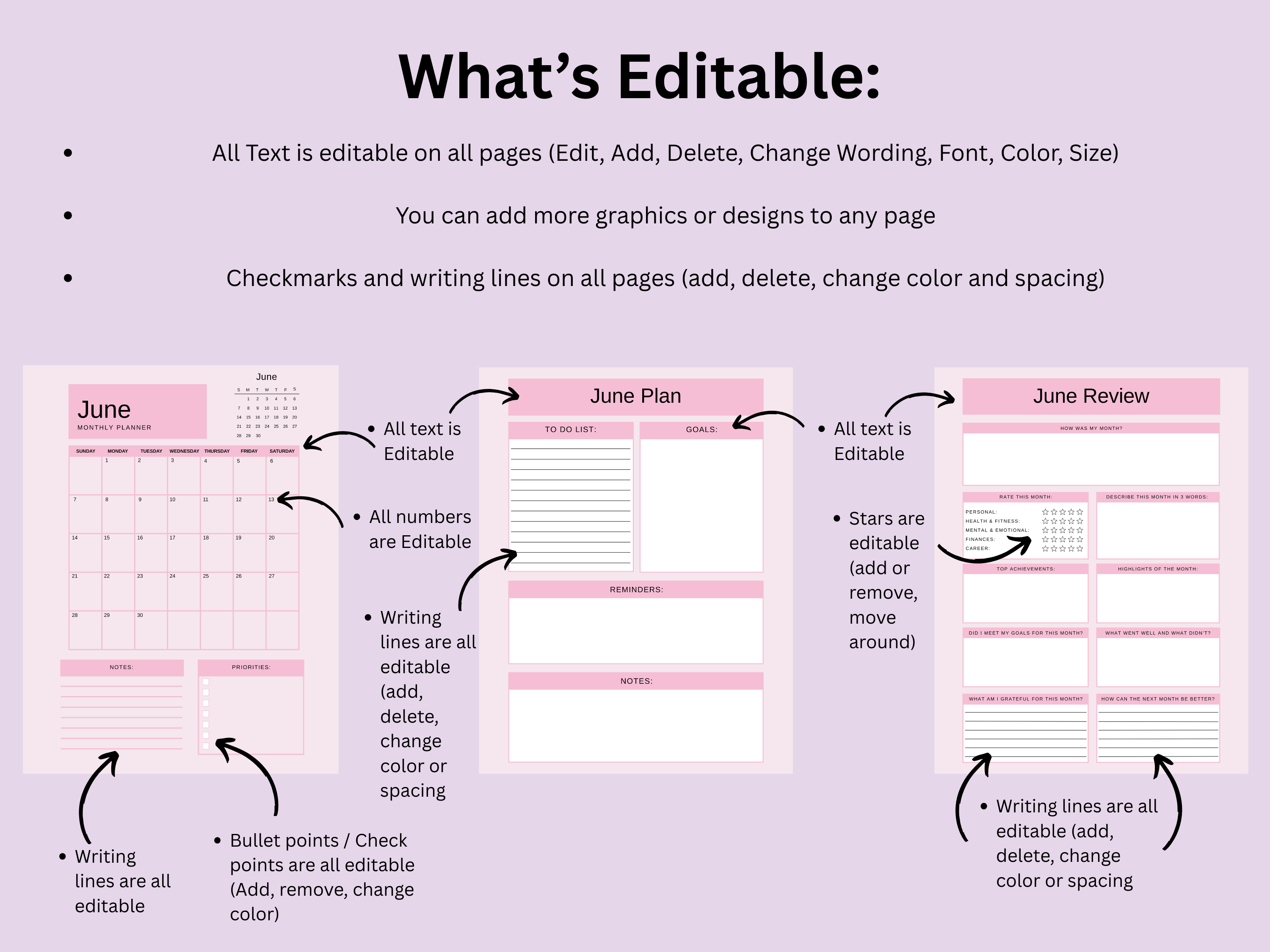 Pink Productivity Planner - Digital & Printable Planner Template (Printable & Editable)